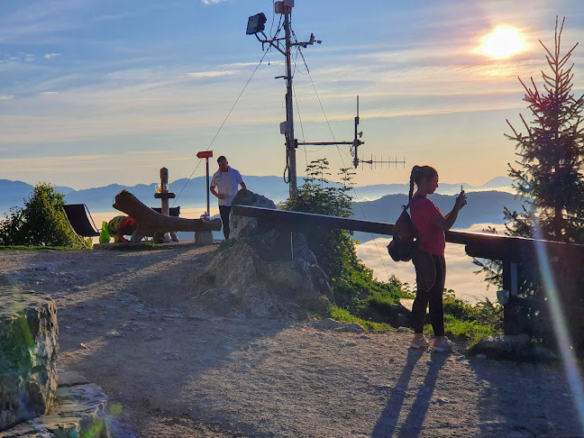 Bar "Škutinov Hram" Šušteršič Umek Alenčica s.p. - Ljubljana