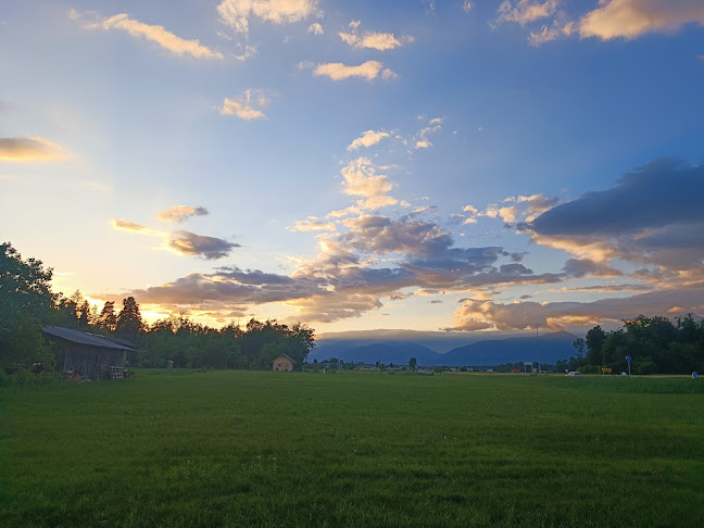 Gostišče Bakhus Marjan Burger s.p. - Gastronomija in gostinstvo