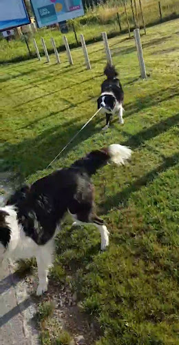 Kavarna Kapital - Ljubljana