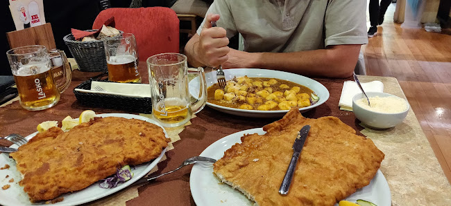 Comentarii opinii despre Zdenko Mesarič s.p. restavracija "Gurman"