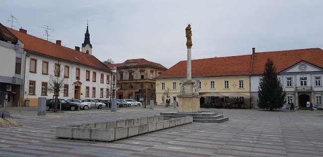 Glavni trg 1, 9240 Ljutomer