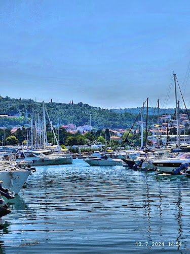 Café d'Isola - Gastronomija in gostinstvo