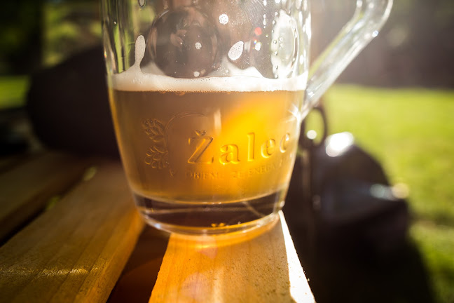 Opinii despre Fontana piva Žalec în Žalec - Gastronomija in gostinstvo