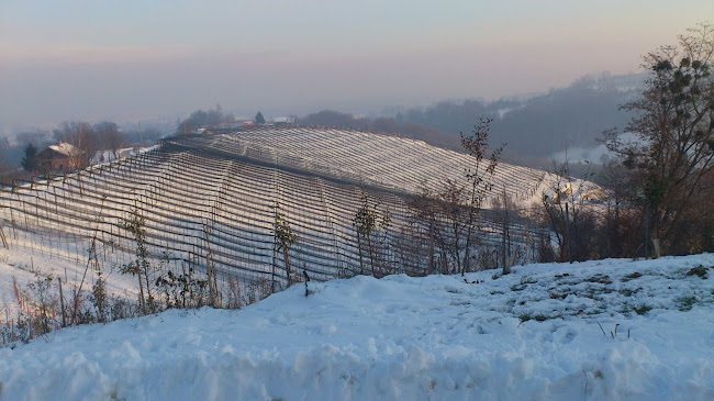 Bio Dan, proizvodnja Sadnih sokov d.o.o., Stročja vas 46, Ljutomer - Ljutomer