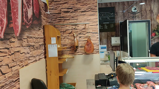 Comentarii opinii despre Mesnica Orel - MESNICA PRI ORLU, SAŠO OREL S.P.