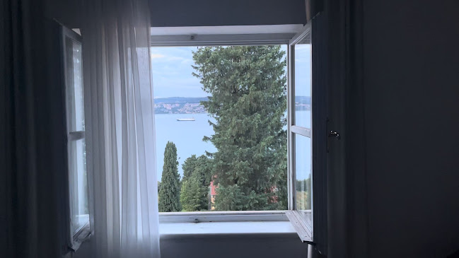 Villa Andor restaurant & hotel