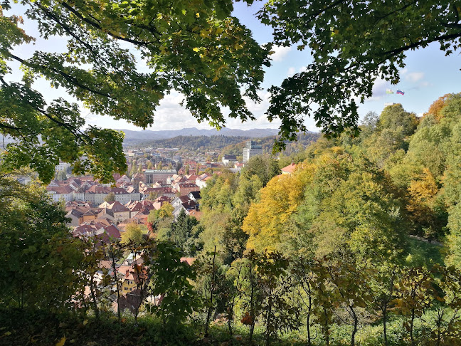 Comentarii opinii despre Levstik Pub