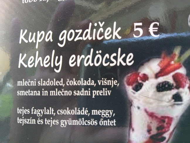 Okrepčevalnica Vienna, Džemail Džemaili s.p. - Gastronomija in gostinstvo