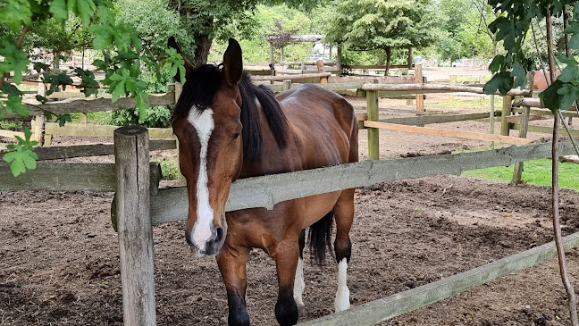 Lendavska ulica 28, 9000 Murska Sobota