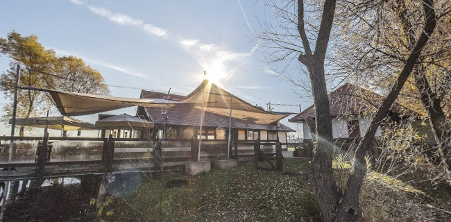 Opinii despre Oaza GRILL în Moravske Toplice - Gastronomija in gostinstvo