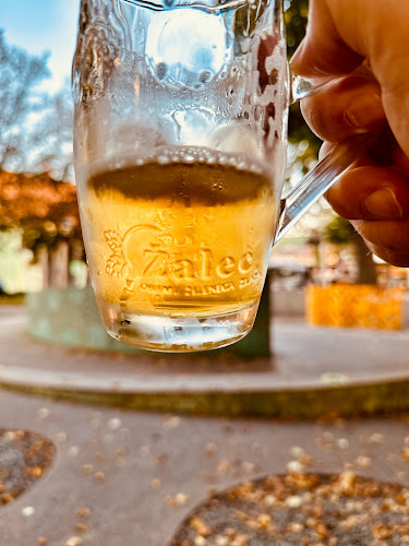 Savinjska cesta 11, 3310 Žalec