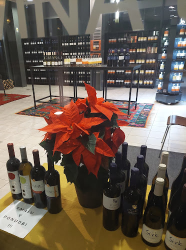 Vrelo Ljubljana - Ljubljana