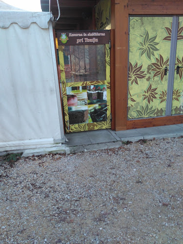 Ljubljanska c. 14, 3000 Celje