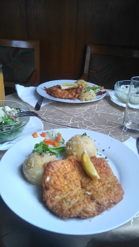 Opinii despre Restavracija Fink în Slovenske Konjice - Gastronomija in gostinstvo