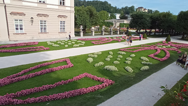Opinii despre Zdravljica Winebar în Bled - Gastronomija in gostinstvo