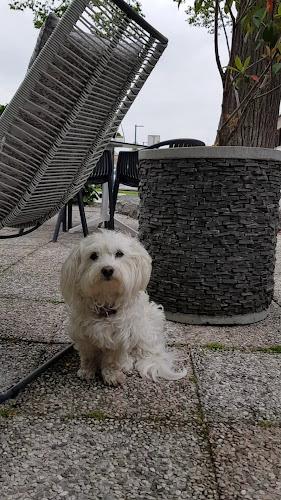 Čokoladni atelje Dobnik Žalec - Žalec