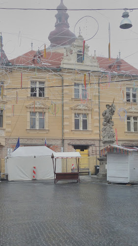 Olimpic šport in rekreacija, svetovanje ter trgovina d.o.o. - Ptuj