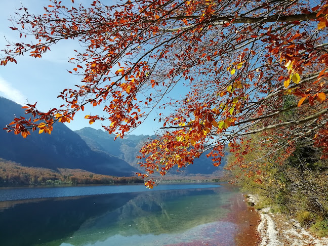 Center Restaurant - Bohinjsko jezero