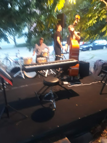 Comentarii opinii despre BUS PUB