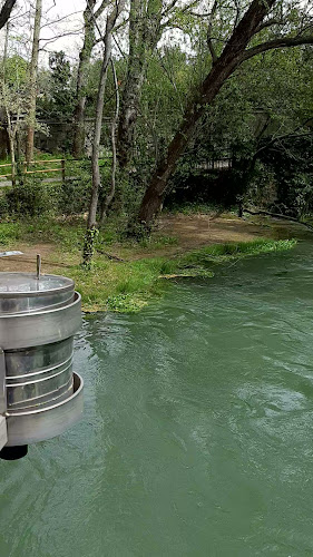 Pot na Breg, 5250 Solkan