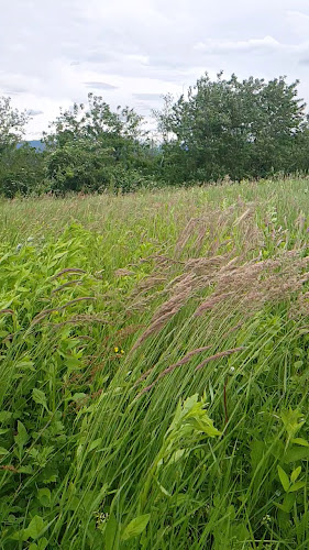 JB Streetfood - Nova Gorica