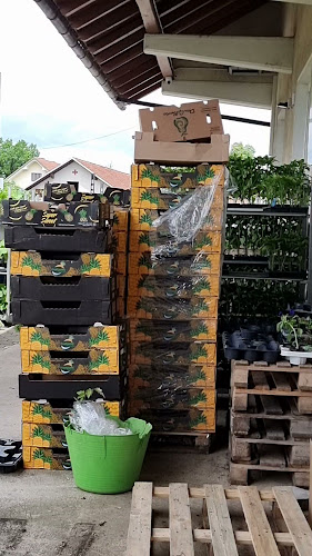 Kmetija Avšič, EKO zelenjava, sadje in sadike - Ljubljana