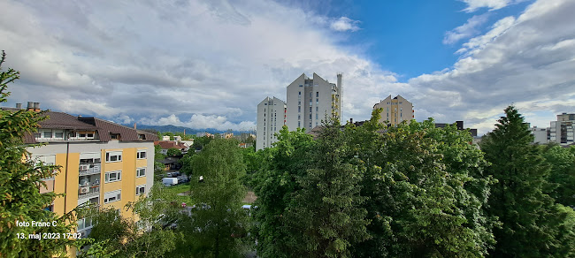 Bar Ribič Jure Bajec s.p. - Gastronomija in gostinstvo
