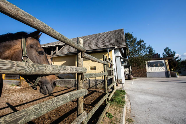 Gostinstvo Mlinarič d.o.o., Gostilna Pugelj - Gastronomija in gostinstvo