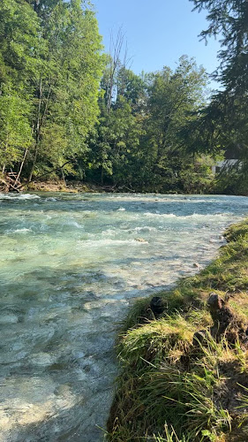 Marley & Me - Ljubljana