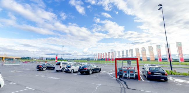 TIBU - Kavarna & Club - Gastronomija in gostinstvo