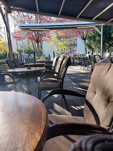 Kaktus american bar - Gastronomija in gostinstvo