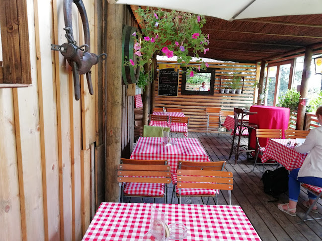 Peggy bar - Gastronomija in gostinstvo