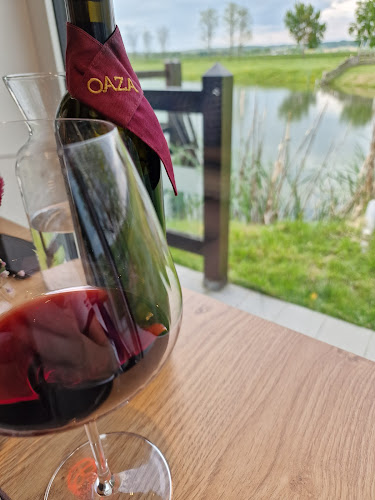 Opinii despre Oaza GRILL în Moravske Toplice - Gastronomija in gostinstvo