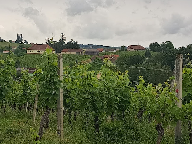 Comentarii opinii despre Gostilna Ajda, David Žunko, s.p.