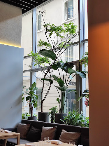 Comentarii opinii despre Ana in Slon