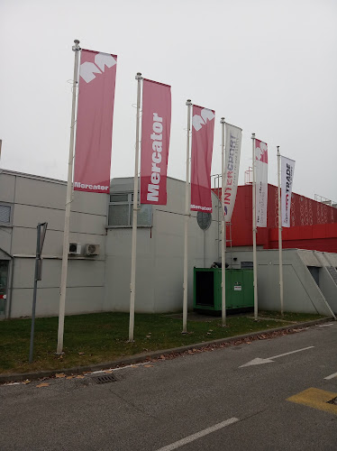 Ormoška cesta 30, 2250 Ptuj