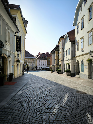 GOSTILNA VIDA - Gastronomija in gostinstvo