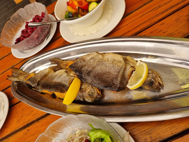 Madronič, gostinstvo in turizem, d.o.o. - Stari trg ob Kolpi