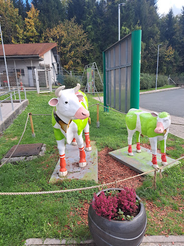 Marche Lom 2 - Logatec