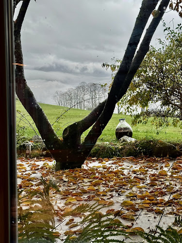 Opinii despre Hiša Franko în Kobarid - Gastronomija in gostinstvo