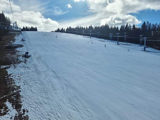 Hribovska restavracija Mašinžaga - Zreče