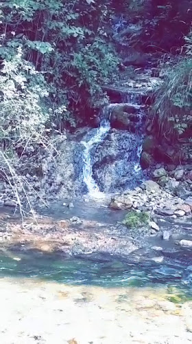 Gostilna Pograjski dom, PG DOM d.o.o.