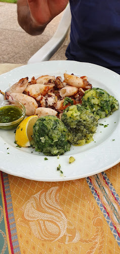 Comentarii opinii despre Gostilna pod Lipco Veselin Vujačić s.p.