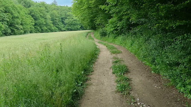 Gostilnica Slatnik Klavdija Luzar s.p.