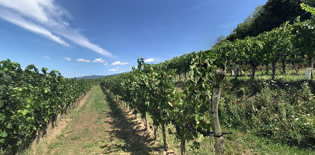 Zalošče 12a, 5294 Dornberk