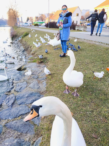 Caffeteria Luciano - Maribor