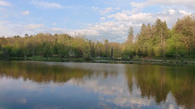 GOSTILNA RIBNIK Damjan Golob s.p. - Brestanica