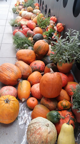 Opinii despre Bar "Caffe Park", Blanka Erniša s.p. în Murska Sobota - Gastronomija in gostinstvo