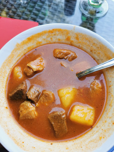 Opinii despre Gostišče pri Rudiju Rudolf Svetec s.p. în Šalovci - Gastronomija in gostinstvo