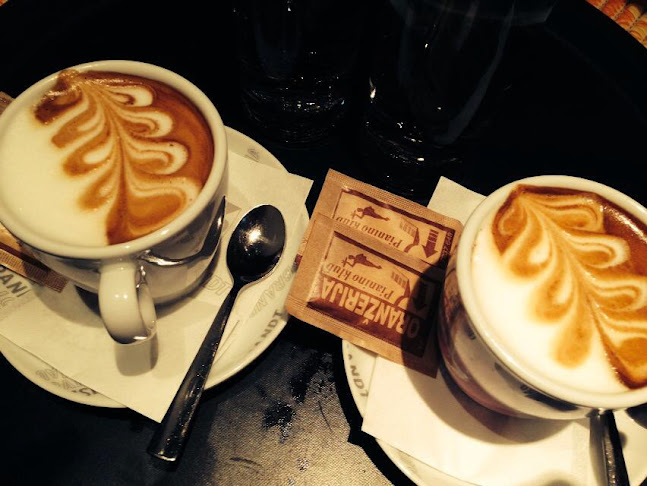 Comentarii opinii despre Oranžerija poslovne in gostinske storitve, d.o.o.